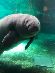 水族館日記